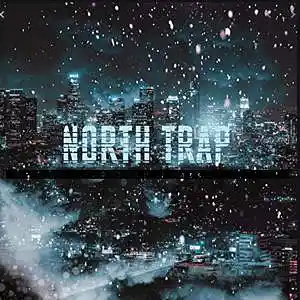 Picture for song 'North Trap Beat' by artist 'whtrwl'
