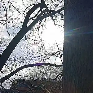 Picture for song '20240223_152156_wartend_fs' by artist '786 scheint-Al'lahs Bande'