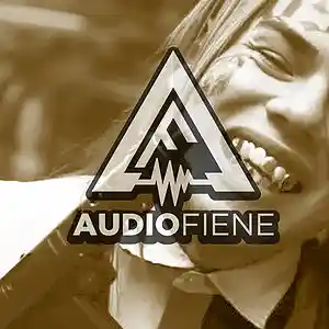 Picture for song 'Come Up (Fettywap, 69 type)' by artist 'Audio Fiene'