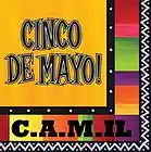 Picture for song 'CINCO DE MAYO' by artist 'CAMIL'
