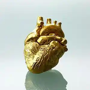 Picture for song 'Golden Heart' by artist 'Griffin Of The Evloution'