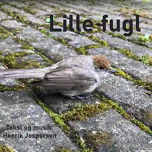 Picture for song 'Lille fugl' by artist 'Henrik Jespersen'