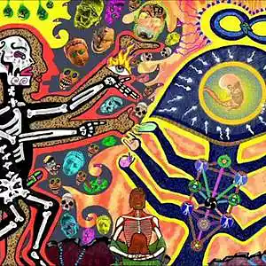 Picture for song 'trance in the jungle' by artist 'Progressive Prophecy'