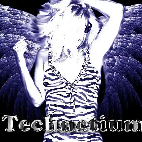 Picture for song 'Te Amo' by artist 'Technetium'