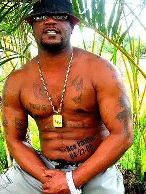 Picture for song 'GIVE ME DA KEYZ' by artist 'ACE PANTHER'