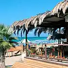 Picture for song 'Swimming prey' by artist 'Bird of habibaH'