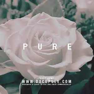 Picture for song 'PURE (Buy 1 Get 1 Free)' by artist 'Da Cupule'