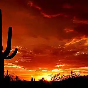 Picture for song 'Savage Situation' by artist 'JakeJ'