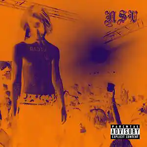 Picture for song 'LIL PEEP X LIL TRACY TYPE BEAT _ NEVER & FOREVER' by artist 'LONSVER'