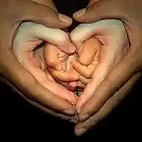 Picture for song 'All The Love In The World x HOOK AT 1:10 ' by artist 'ProtocolProductions'