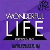 Picture for song 'WONDERFUL LIFE' by artist 'EAR 2 THA BEAT'