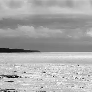 Picture for song 'A Sea of Silver' by artist 'Jav Grojas'