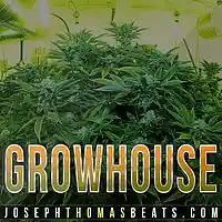 Picture for song 'Growhouse' by artist 'Joseph Thomas Beats'