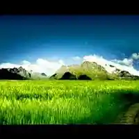 Picture for song 'Verdiana' by artist 'Nepean Concert Band'