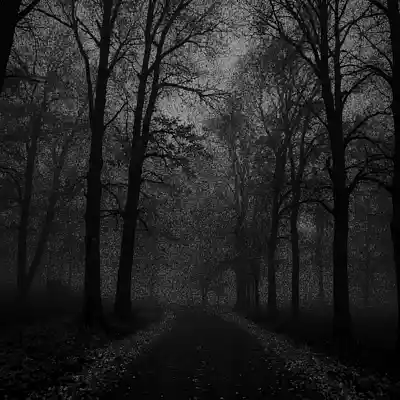 Picture for song '[FREE] In the dark * HIP HOP BEAT * BOOM BAP BEAT' by artist 'S.A.I beats'