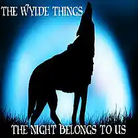 Picture for song 'The Night Belongs To Us' by artist 'Wylde Things'