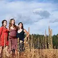 Picture for song 'Wild' by artist '2DEEP Records with Mr Black Productions'