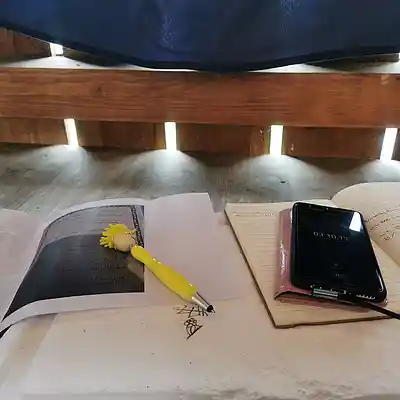 Picture for song '20250420_194643_FS_USAFRIKA_1' by artist '786 scheint-Al'lahs Bande'