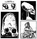 Picture for song 'Track 25' by artist 'Albert Tross Leader of the Demons'