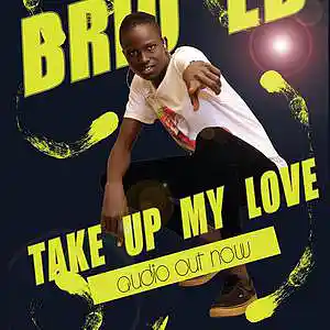 Picture for song 'Take Up My Love By Brio' by artist 'Brio Eb'