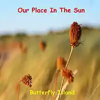 Picture for song 'Window To My Soul' by artist 'Butterfly Island'