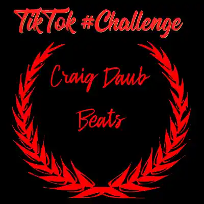 Picture for song 'TikTok 2020 Lil Wayne Type Beat 151bpm' by artist 'Craig Daub Beats'