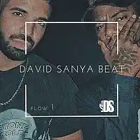 Picture for song 'Flow (Bryson Tiller X Drake Type)' by artist 'David Sanya'