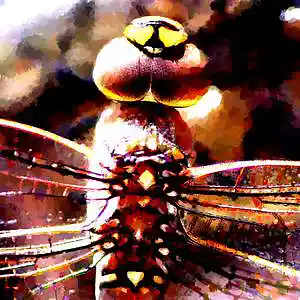 Picture for song 'Wasted Love' by artist 'Hilbert Space'