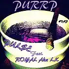 Picture for song 'Purrp' by artist 'PulSe868'