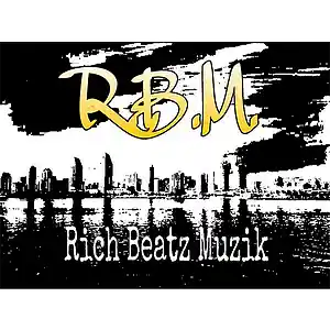Picture for song 'Diamond Rain (DJ Pain 1 Collab)' by artist 'Rich Beatz Muzik'