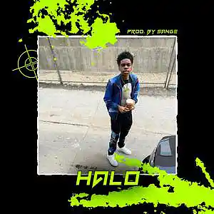 Picture for song 'Polo G x Li Tjay x Lil Durk Type Beat - Halo' by artist 'sange beats'