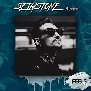 Picture for song '' FEELS '' by artist 'SETHSTONE'