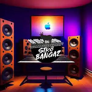 Picture for song 'coast bih' by artist 'Swagdot Beatz'
