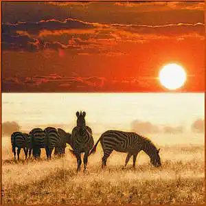 Picture for song 'This New World' by artist 'VYWeedsion'