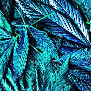 Picture for song 'Blue Dream' by artist '2Raw Muzik'