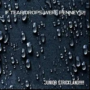 Picture for song 'OLDIE TEAR DROPS WERE PENNYS' by artist 'JUNIOR STRICKLAND'