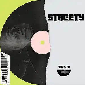 Picture for song 'Streety - Instrumental' by artist 'MandiSession'