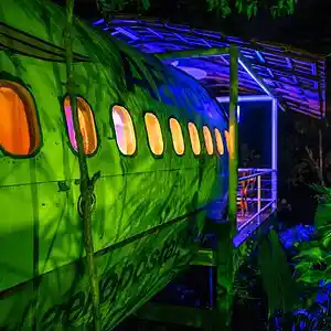 Picture for song 'Lonely Dandelion: Verde Blue Session' by artist 'paul gorman and the hypnotist collectors'