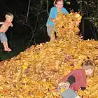 Picture for song 'Autumn cue' by artist 'Annie Orb'