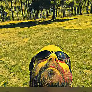 Picture for song 'Wind Exhibit' by artist 'Concensusdown'