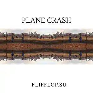 Picture for song 'Plane crash' by artist 'flipflop'
