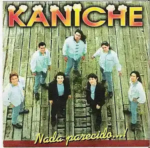 Picture for song '01 SI ESTUVIERAS CONMIGO' by artist 'Kaniche'