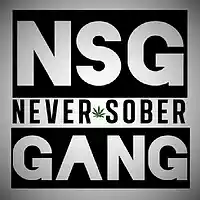 Picture for song 'neversobergangall-of-the-lights' by artist 'Never Sober Gang'