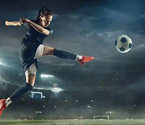 cover pic