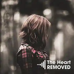 Picture for song 'The Heart Removed' by artist 'Vanilla Groove Beats'