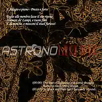 Picture for song 'SUMMER 2nd mov * Adagio e piano - Presto e forte' by artist 'Vivaldi's Project'