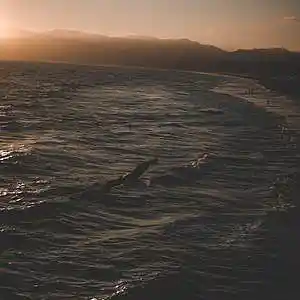 Picture for song '"Front" Beat for Sale' by artist 'whoDeanyBeatz'