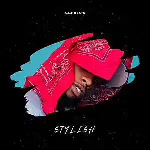 Picture for song 'STYLISH / TORY LANEZ x DVSN RNB TYPE BEAT' by artist 'Alfnobeat'