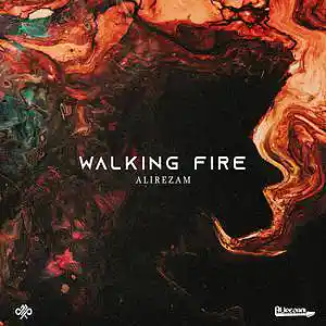 Picture for song 'Walking Fire' by artist 'alirezam'