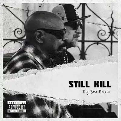 Picture for song 'STILL KILL *90s Old School Hip-Hop x Boom Beat' by artist 'Big Bro Beats'